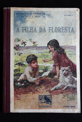 Capa do livro "A Filha da Floresta"