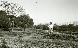 Foto 04