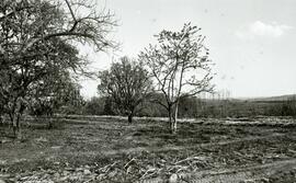 Foto 03