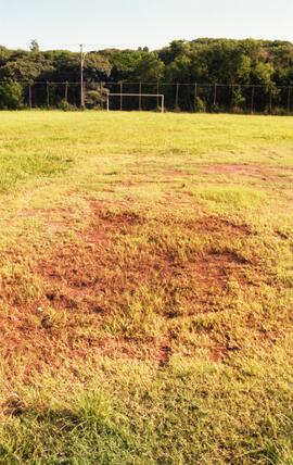 Campo Futebol  - gramado