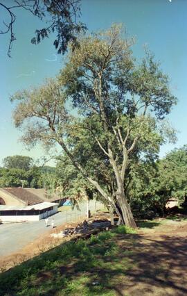 Foto 05
