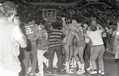 Open original Document numérique