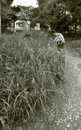 Foto 03