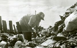 Foto 05
