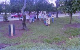 Foto 03