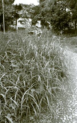 Foto 04