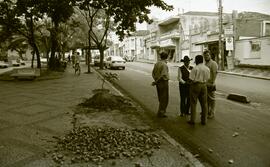 Foto 02