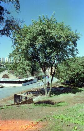 Foto 04