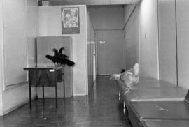 Foto 03