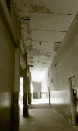 Foto 08